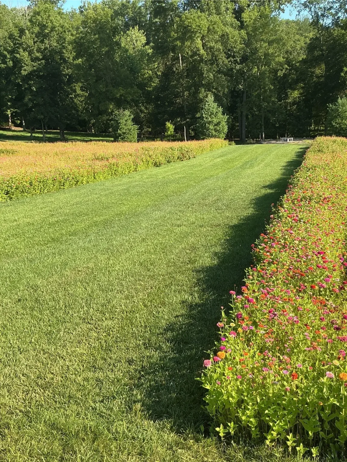 Mowed path through a meadow on a large Bucks County property