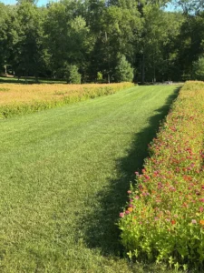 Mowed path through a meadow on a large Bucks County property