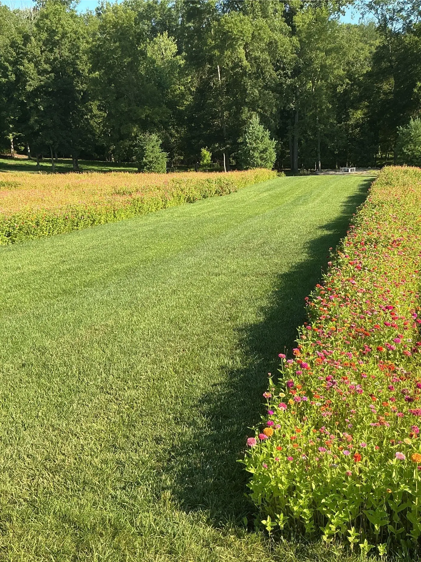 Mowed path through a meadow on a large Bucks County property